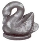 Cygnet Swan